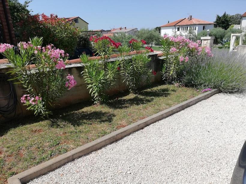 Apartments Oleander Lovrecica-Residence With Pool Dış mekan fotoğraf