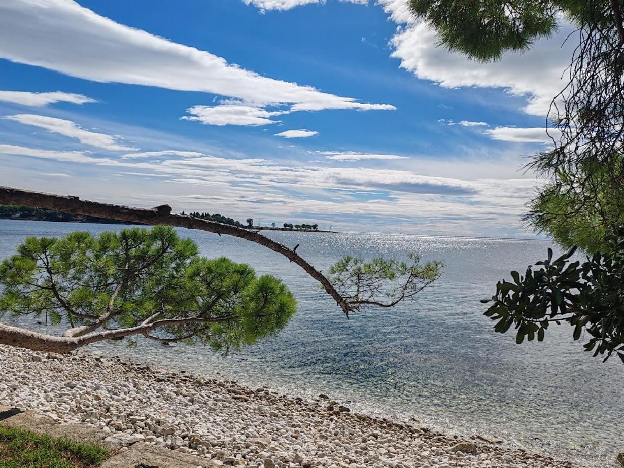 Apartments Oleander Lovrecica-Residence With Pool Dış mekan fotoğraf